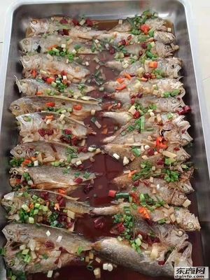 专业食堂承包，餐饮管理的领航者——东莞市鹏翔餐饮管理